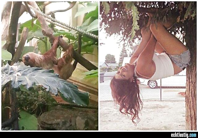 Scarface: Sie Jemals Versucht, Den Kopf In Den Arsch Zu Stecken? #24064974