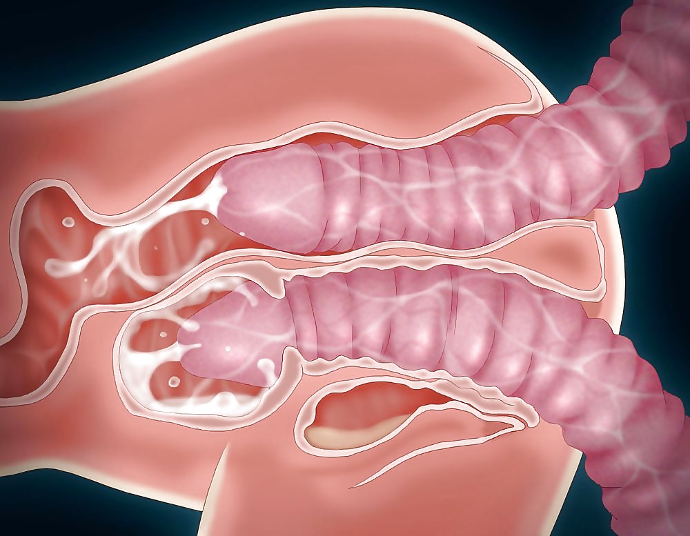 Lieblings Hentai #30653036