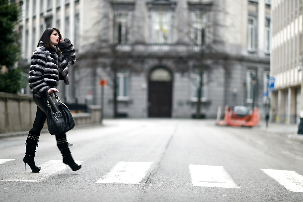 Fourrure chinchilla 
 #27196622