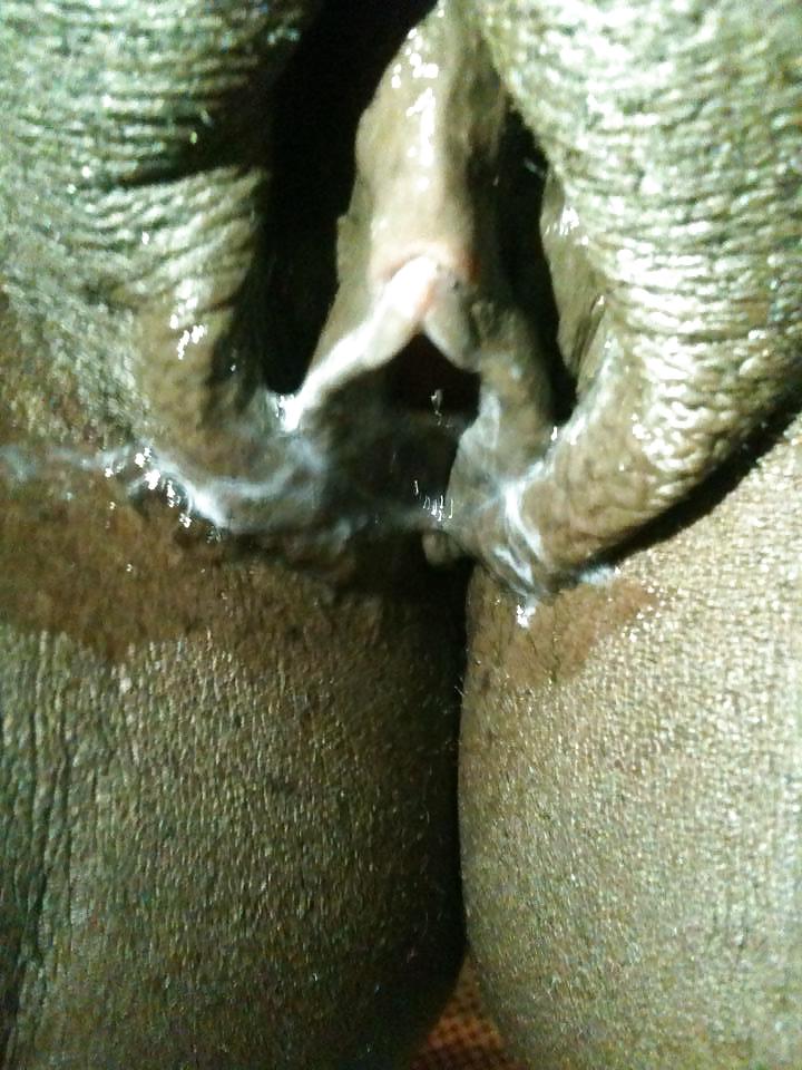 ヌーボー2
 #24441640