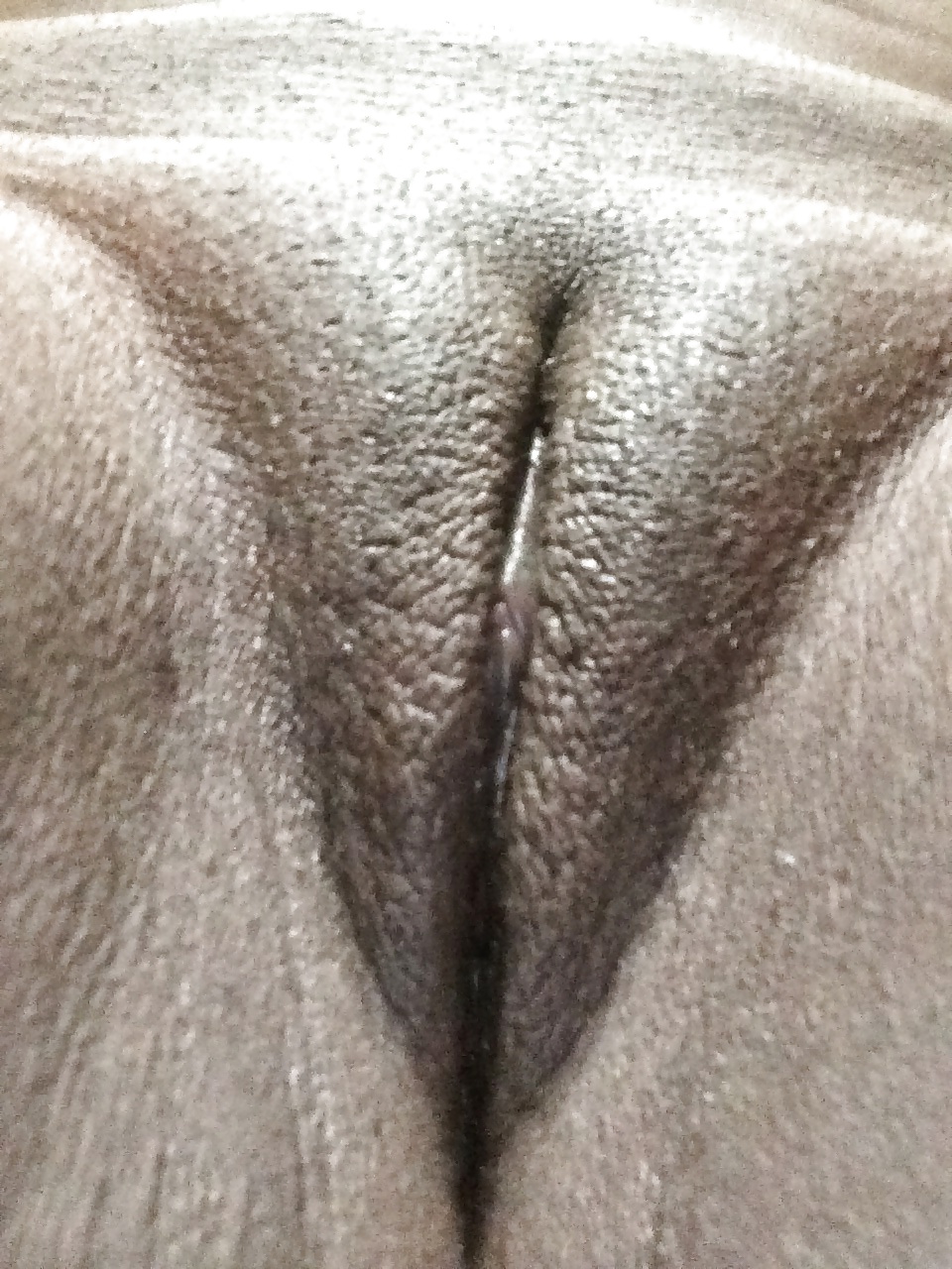 ヌーボー2
 #24441646