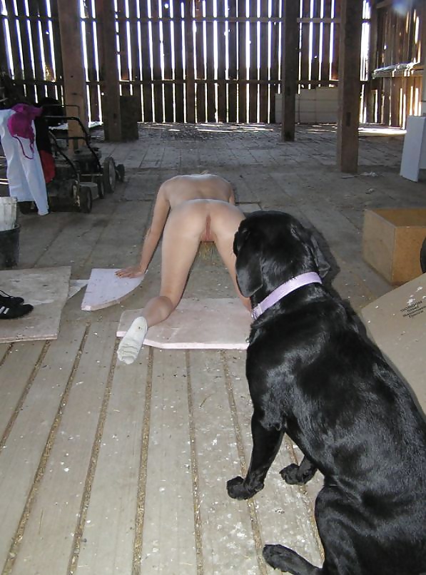 Esperando
 #39188999