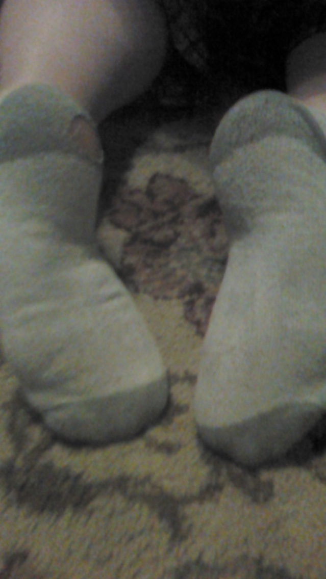 Brittany stinky socks #26482514