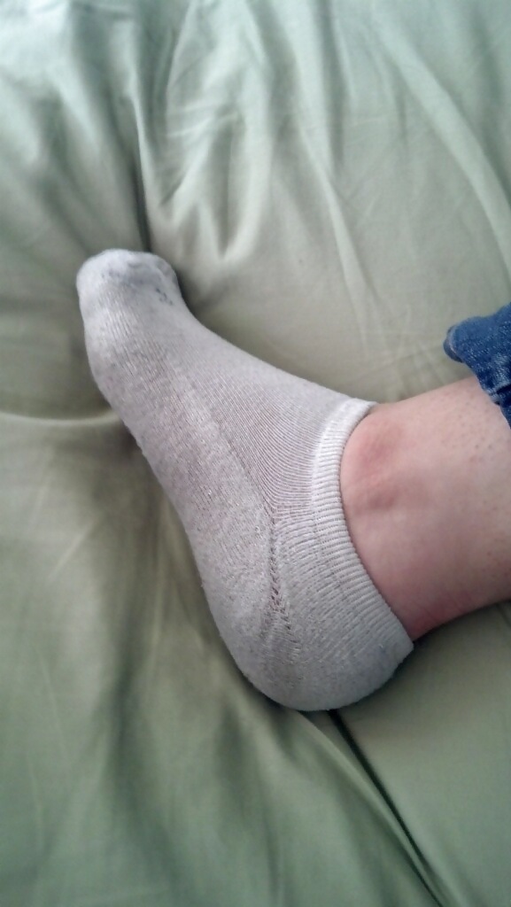 Brittany stinky socks #26482519