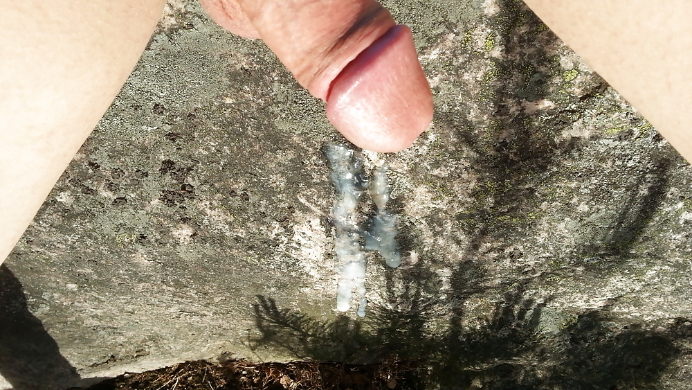 Hoy, 1 año después: ¡el cumstone erosionado sobrevive al invierno!
 #34674682