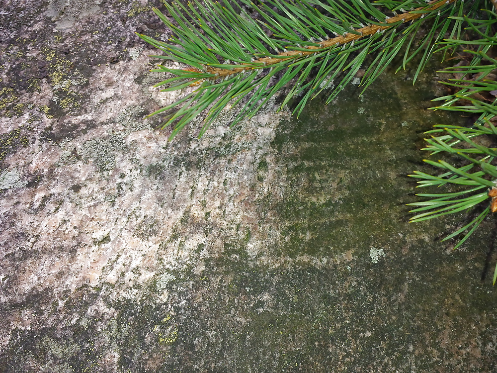 Today 1 Year Later: Eroded Cumstone Survives Winter! #34674857