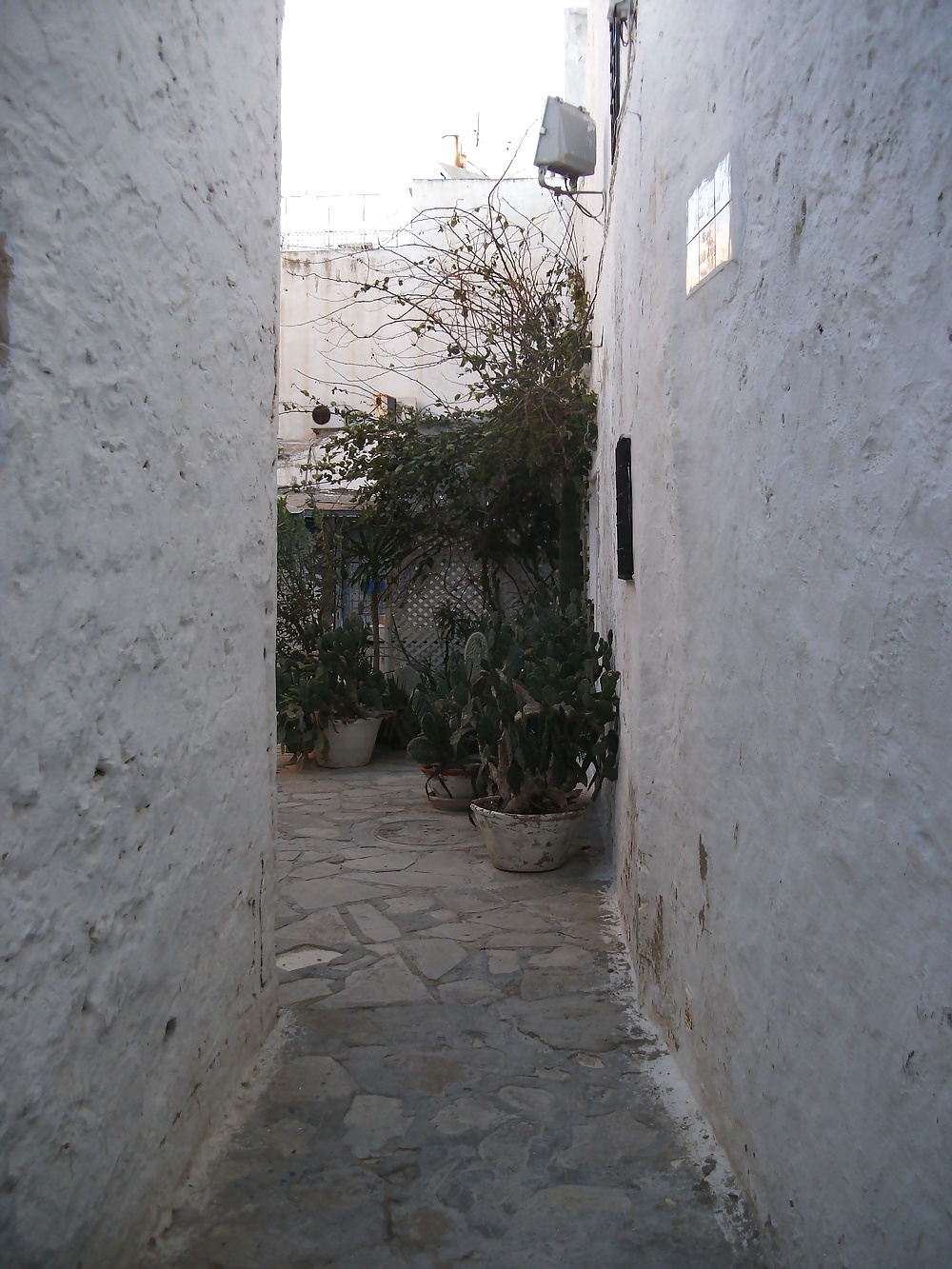 Tunesien Hammamet #30959043