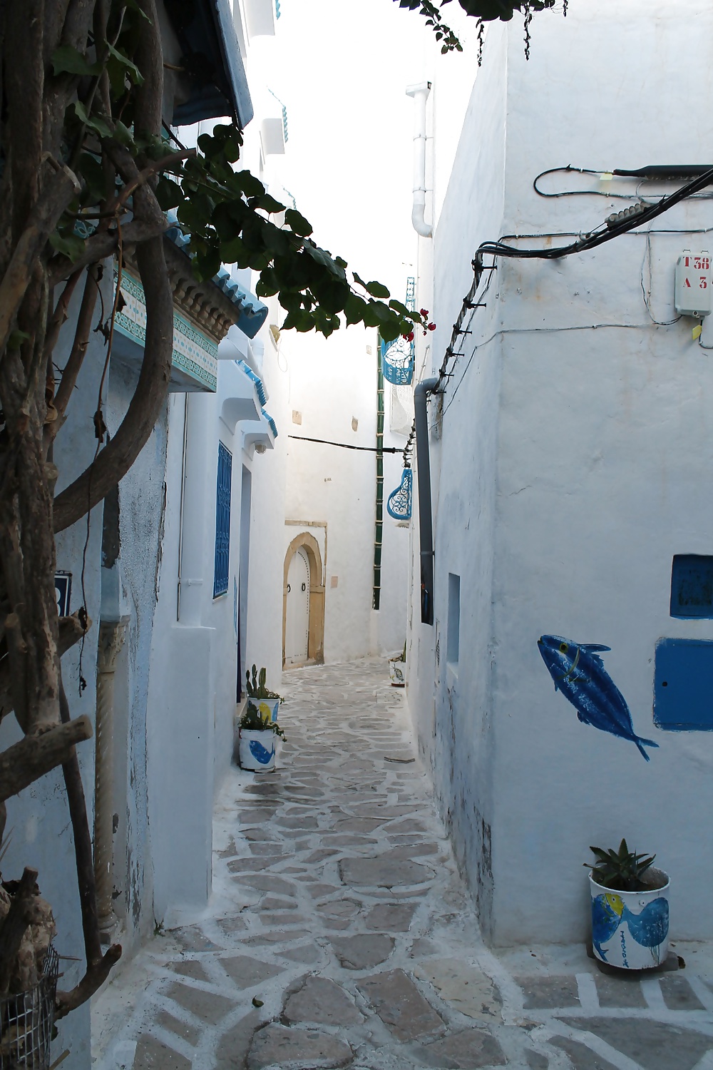 Tunesien Hammamet #30959100