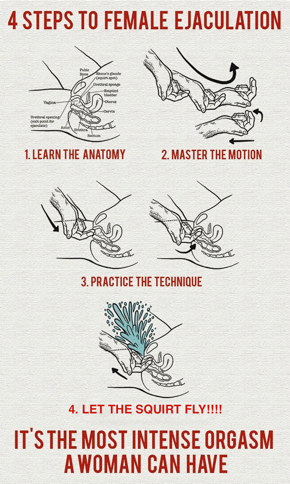 Instructonal: Diagrams And Tips To Make A Woman Squirt  #34759633