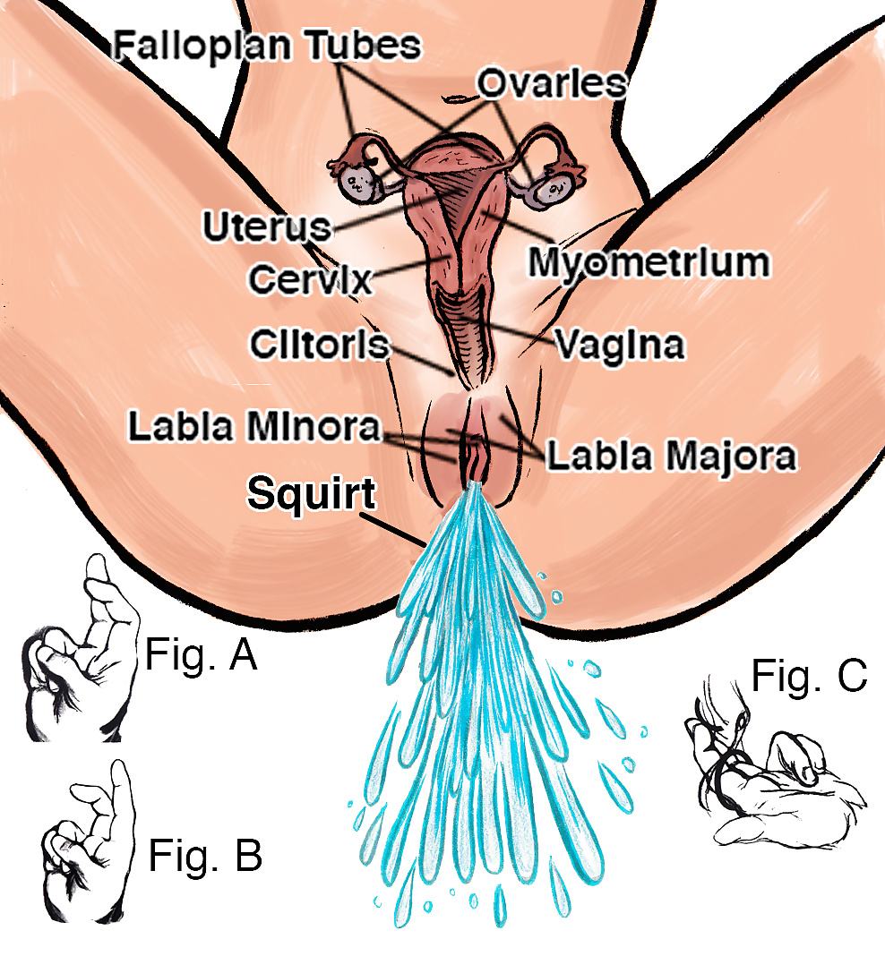 Instructonal: Des Diagrammes Et Des Conseils Pour Faire Une Giclée De Femme #34759642