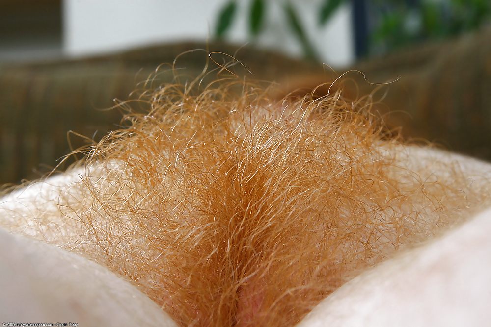 Amateur Girls with hairy pussies (5) #27424313