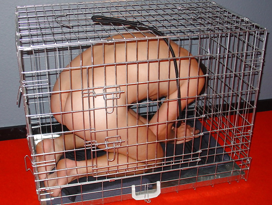 How i crave to be #23413421