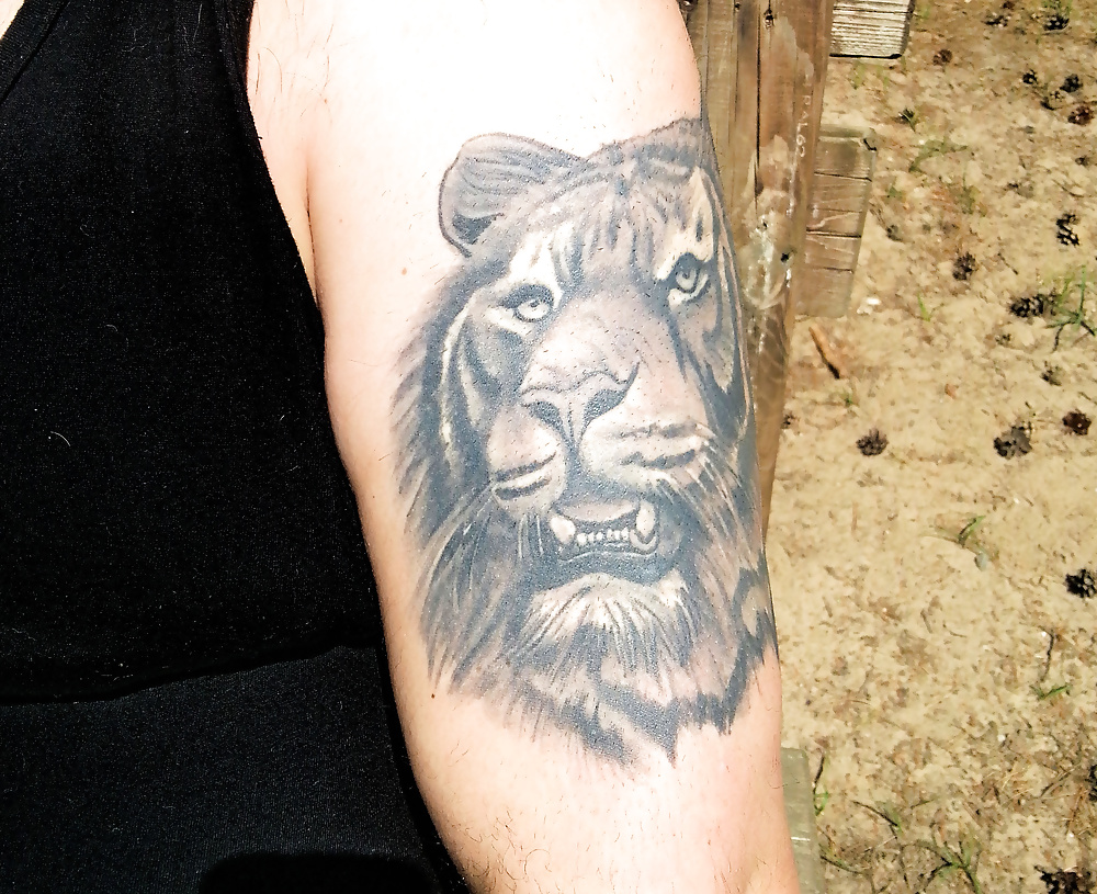 Mis tatuajes harley quinn y el tigre
 #27476174