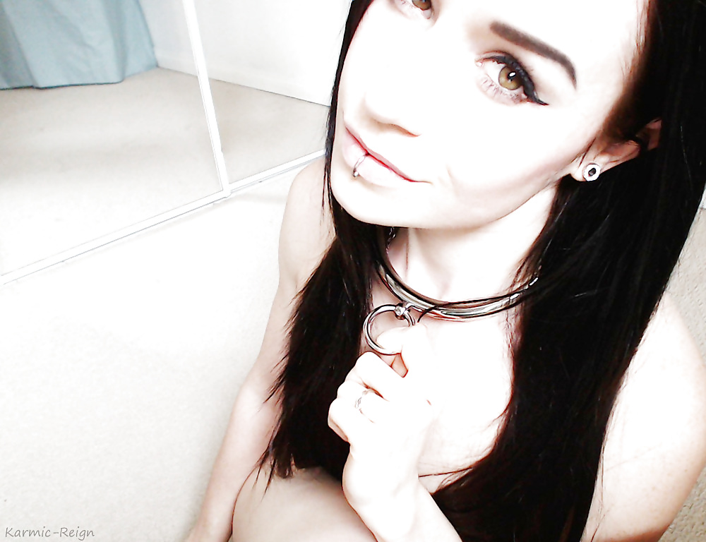 Collared kittens pt.2
 #40493114