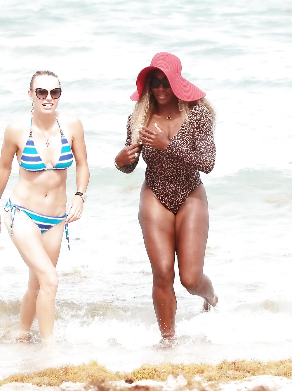 Serena Williams and Caroline Wozniacki in Bikini  #33856849