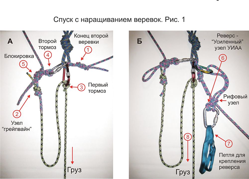 セックス
 #36625909