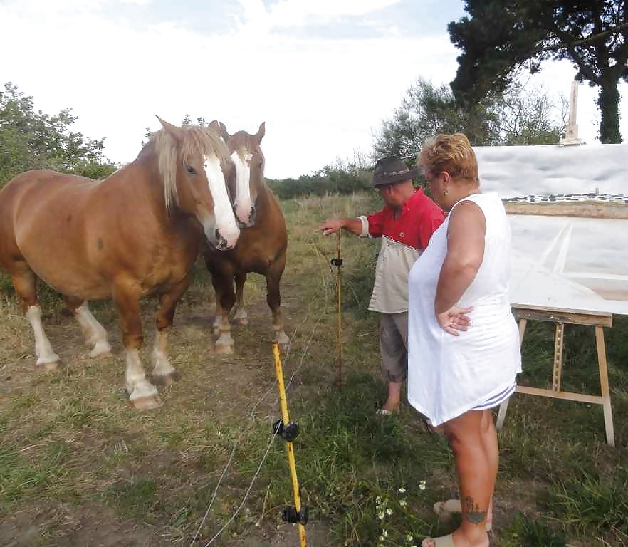 Un pintor fanático
 #28885184