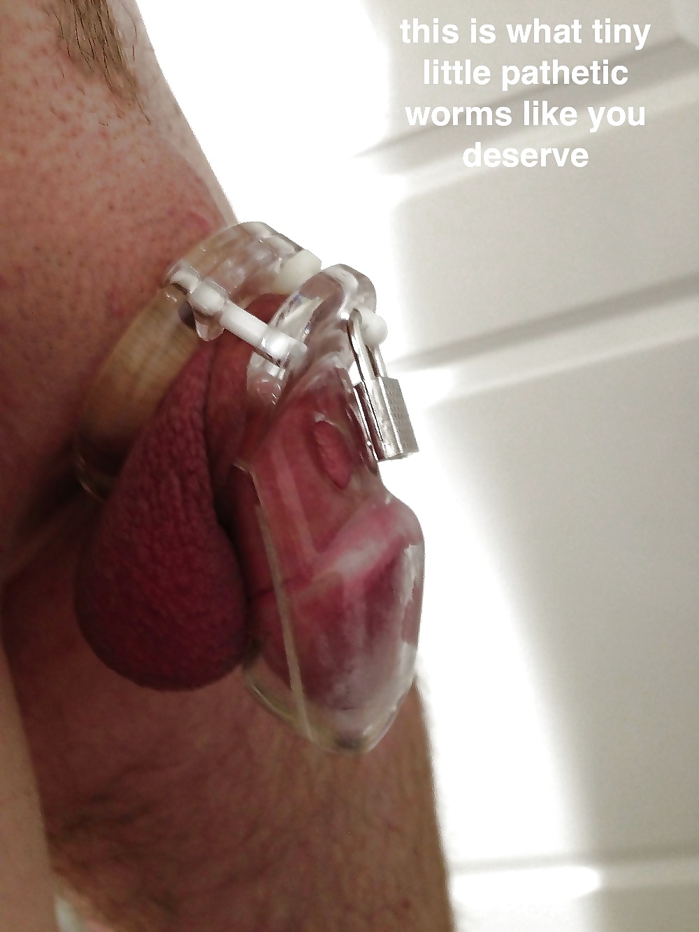 Subtítulos en inglés de "Cuck" y "Chastity
 #26738535