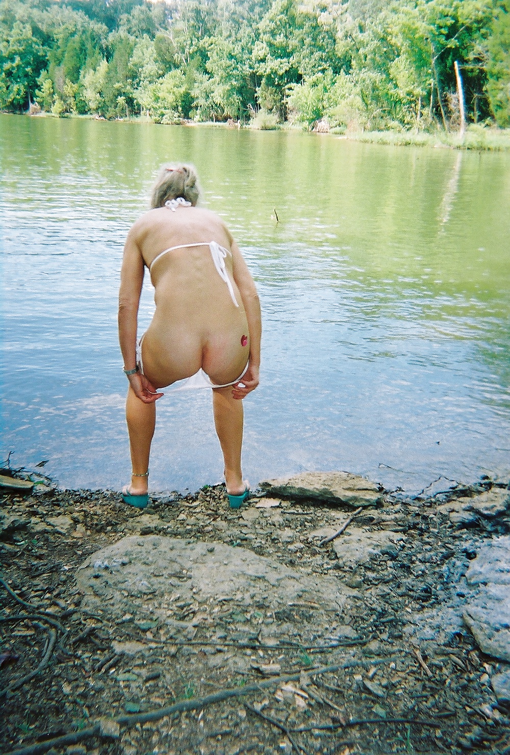 Zorra linda
 #32996727