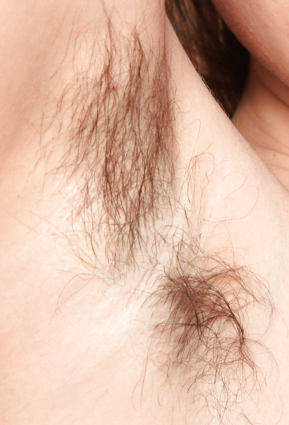 Mehr Sex Gruben #38948660