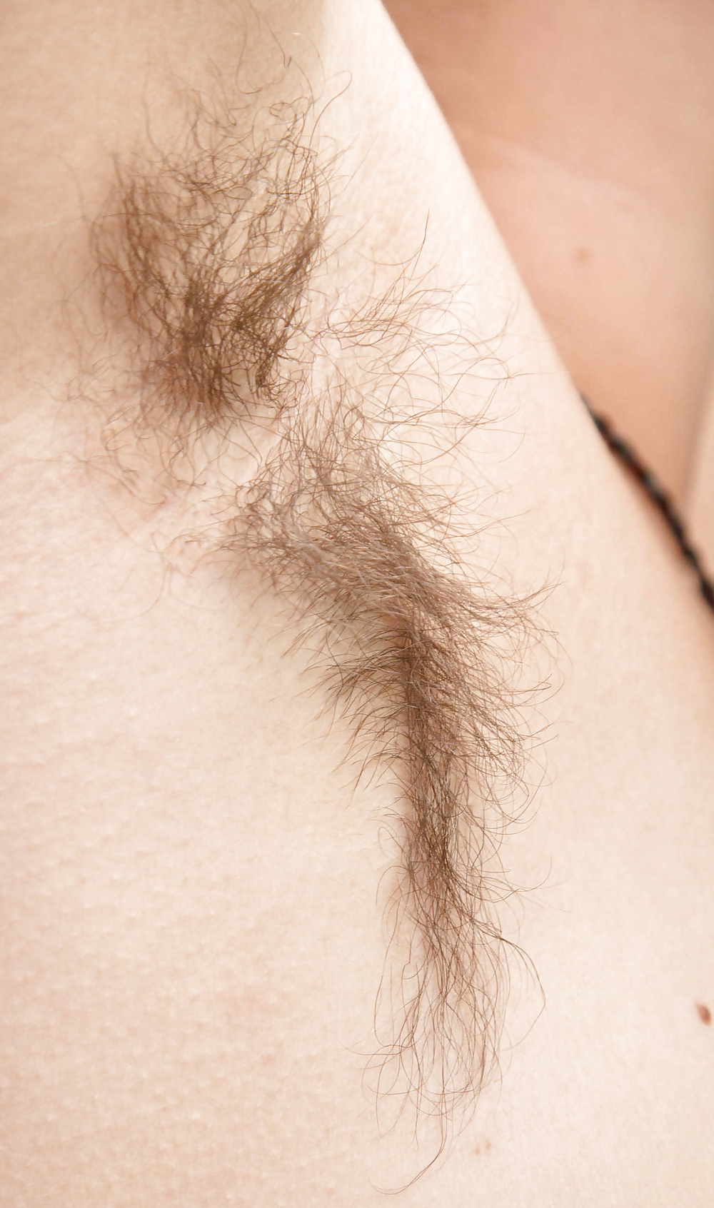 Mehr Sex Gruben #38948960