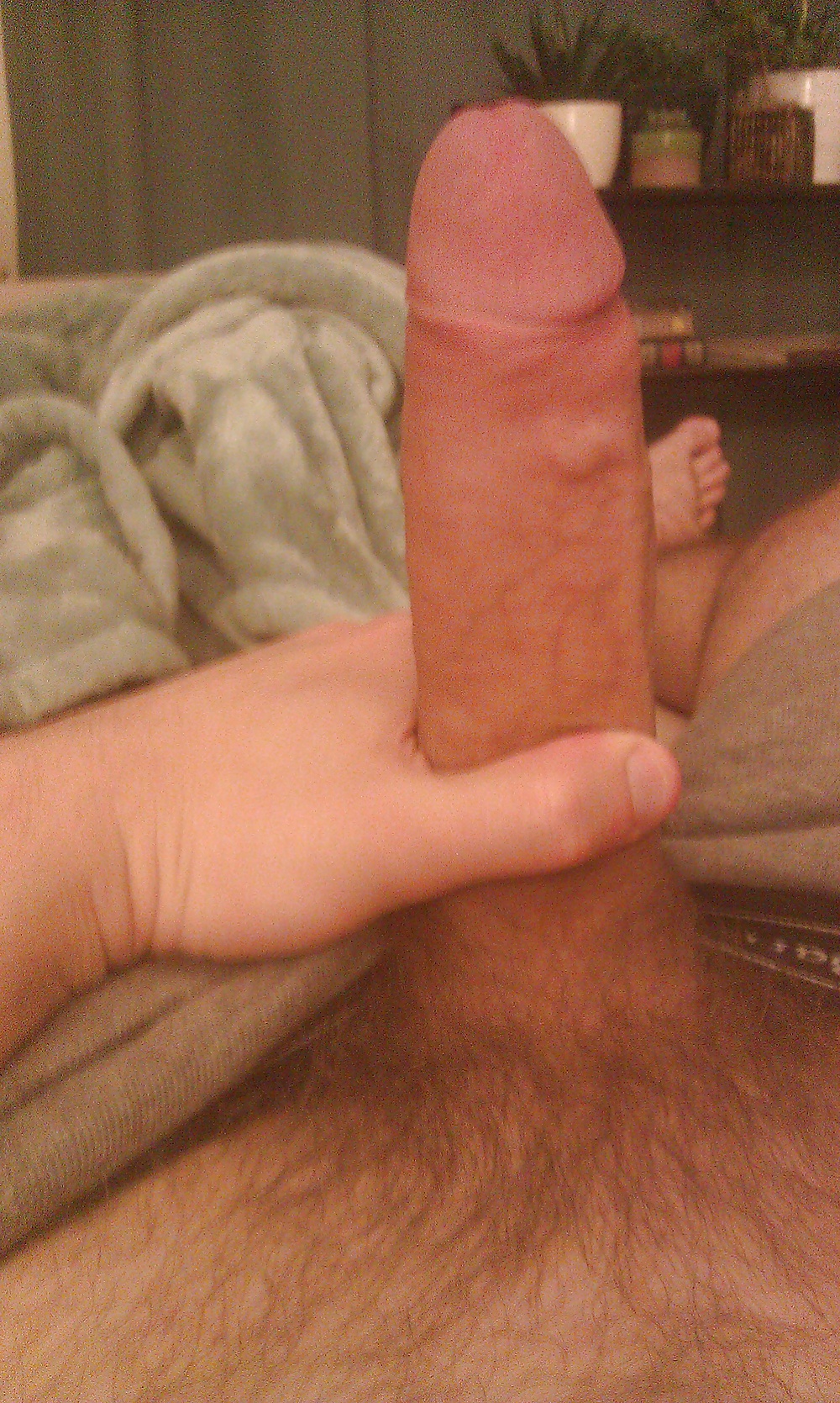 Califica mi polla
 #34239136