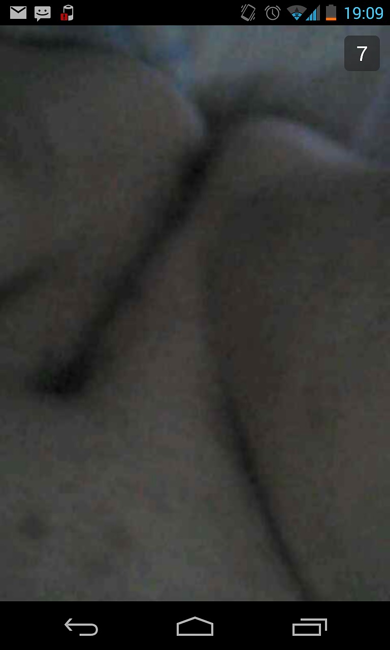 GF Getting ready for BBC Bull #26213510