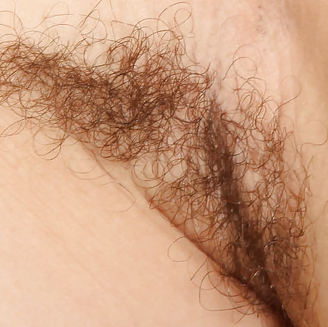Hairy armpits #33045240