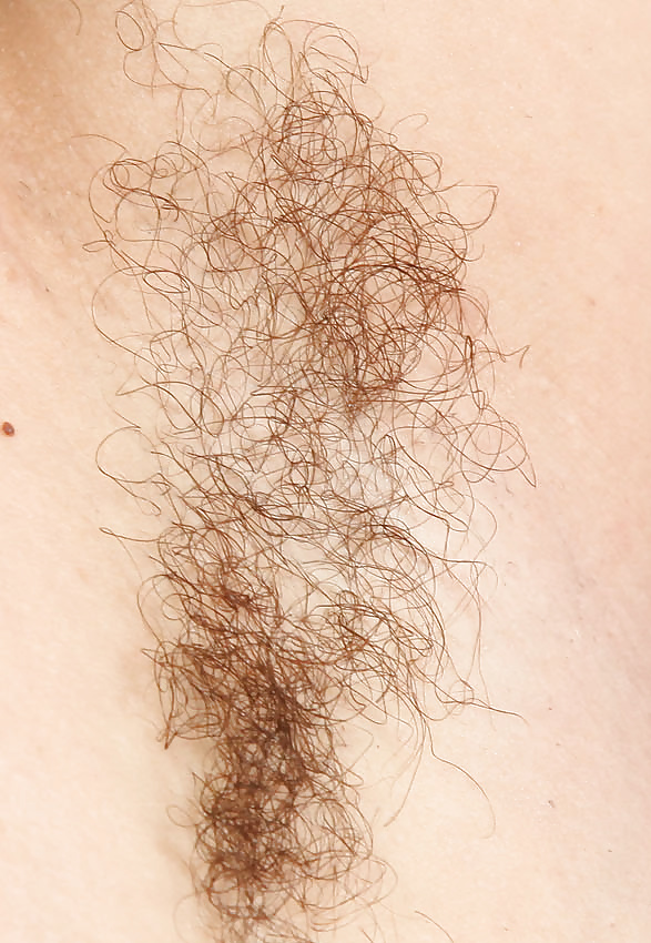 Hairy armpits #33045269