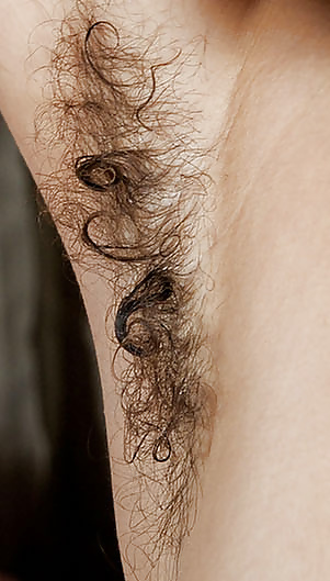 Hairy armpits #33045348