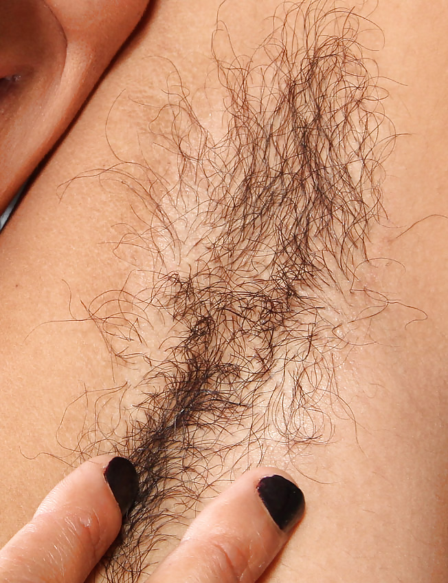 Hairy armpits #33045357