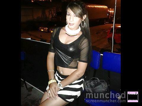 Transexual holandés (newlook)
 #38612447