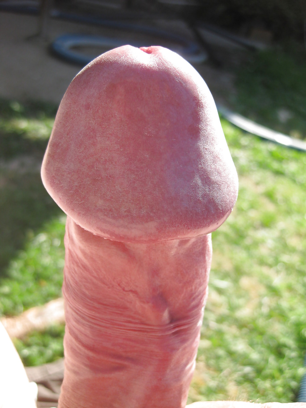 欲望の戯れ
 #23411575