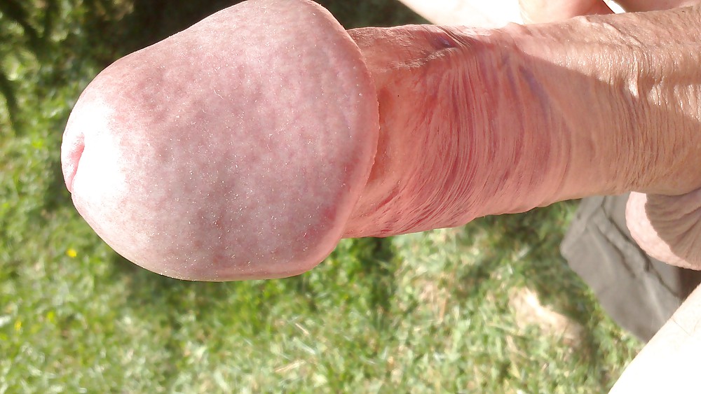 欲望の戯れ
 #23411599