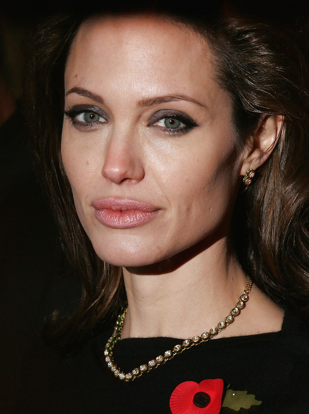 Angelina Jolie (non porno)
 #29376798