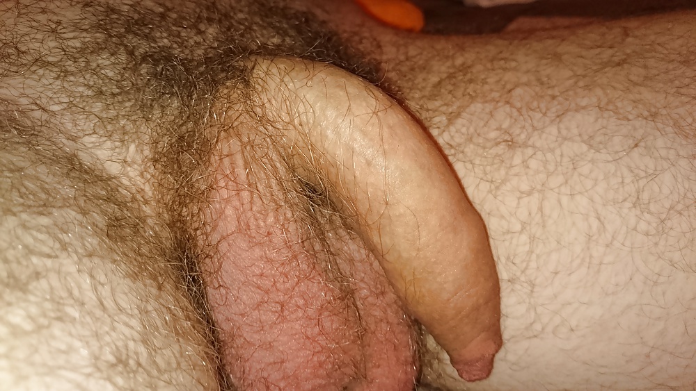 Der kleine 
 #31639404