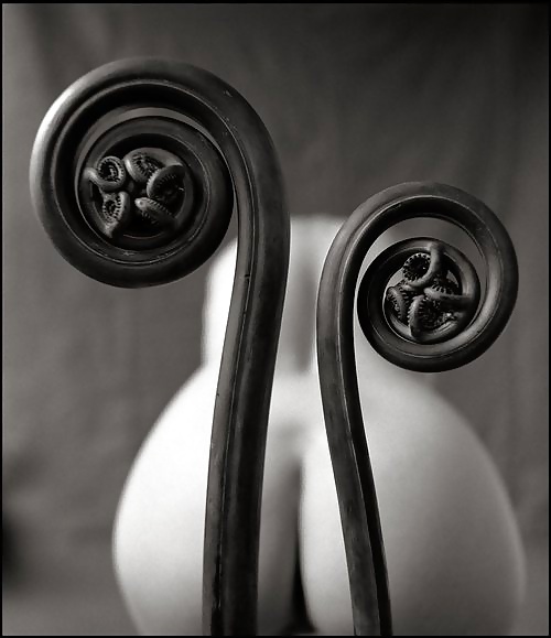 Janas art de la joie 205
 #28072879