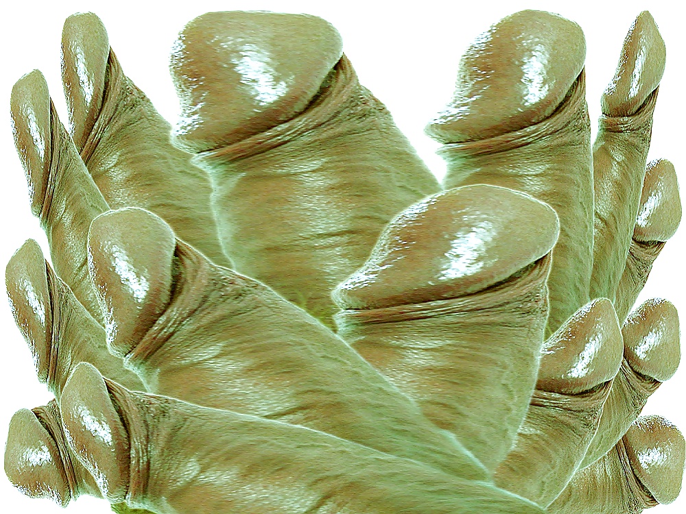 プライベート写真 kaspo5
 #24122613