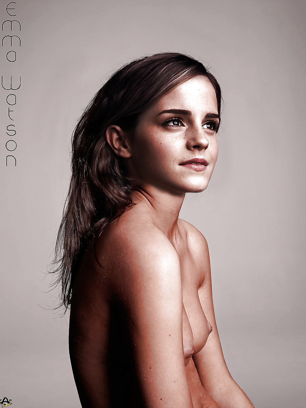 Emma Watson Akte (Fakes) #26452686