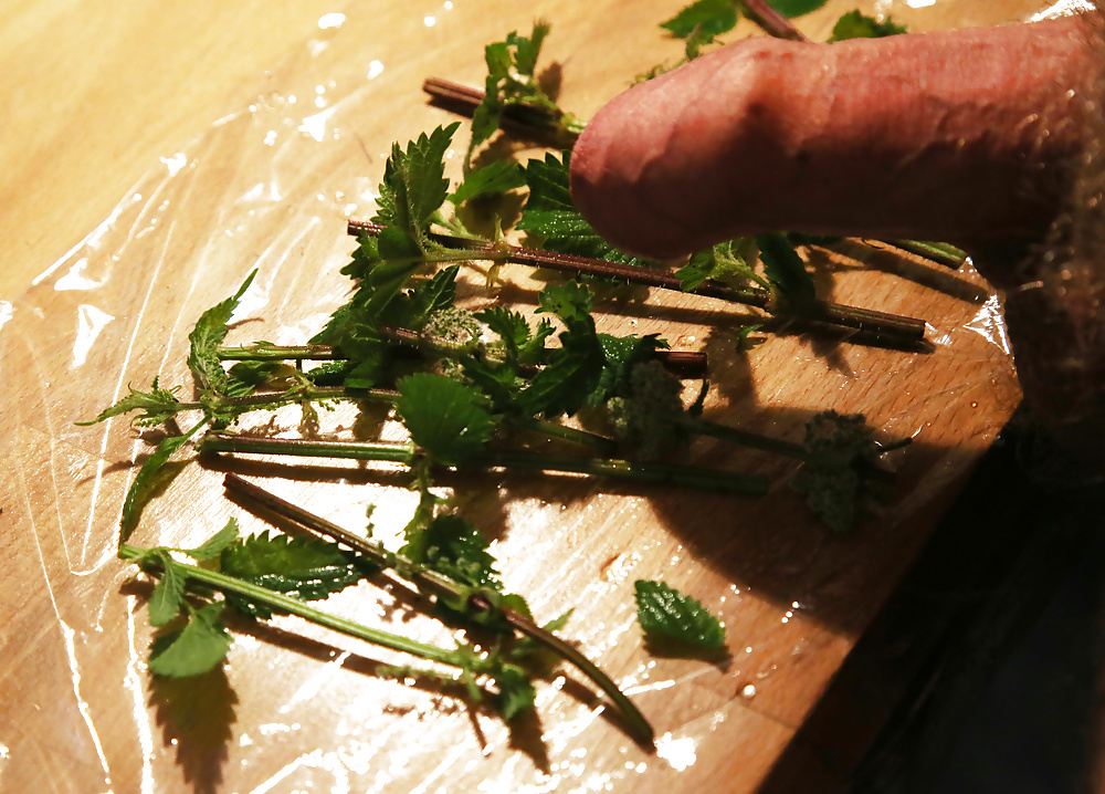 Wrapping nettles round cock with cling film #29091155