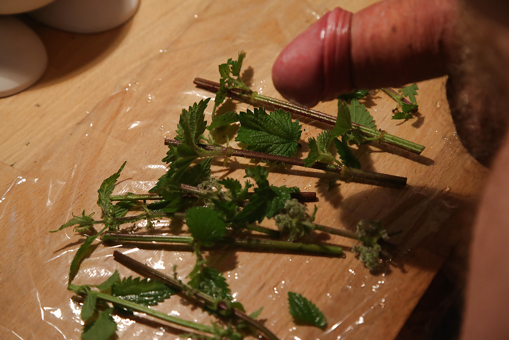 Wrapping nettles round cock with cling film #29091163