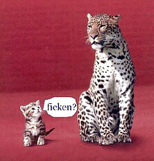 性的な :-)
 #36797520