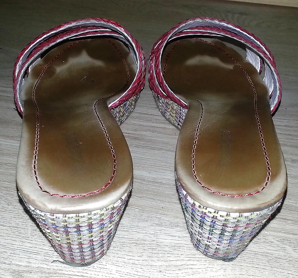 Hufe Prämie #31781518