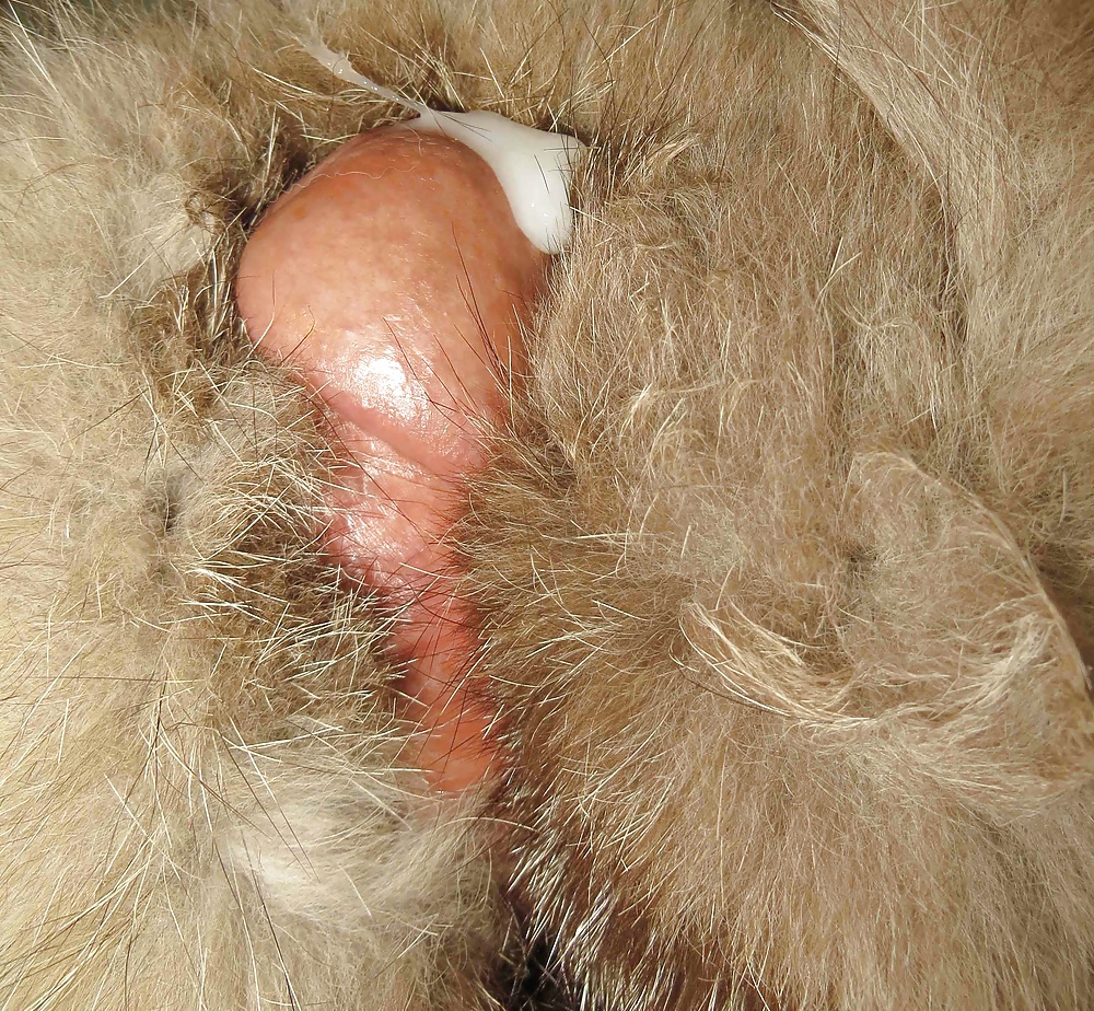 FUR #31910627