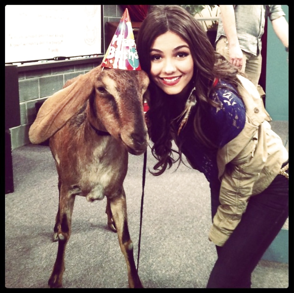 Meine Victoria Justice #32380469