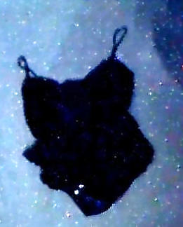 Kleidung Damenwaesche  Dessous #38035129