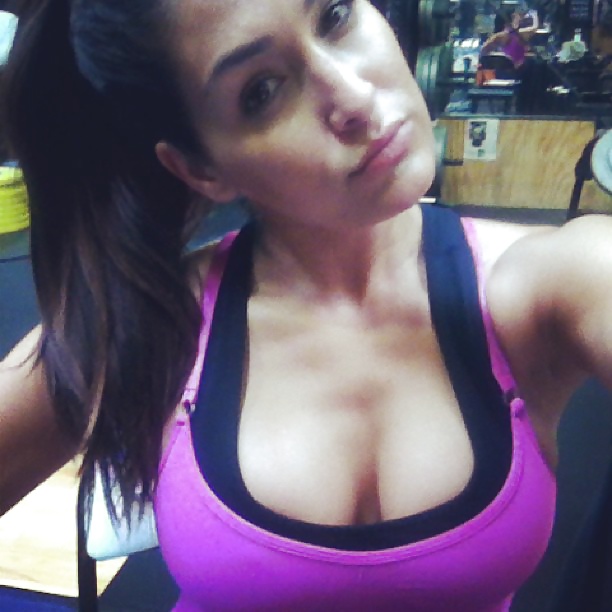 WWE Diva Nikki Bella #40870946