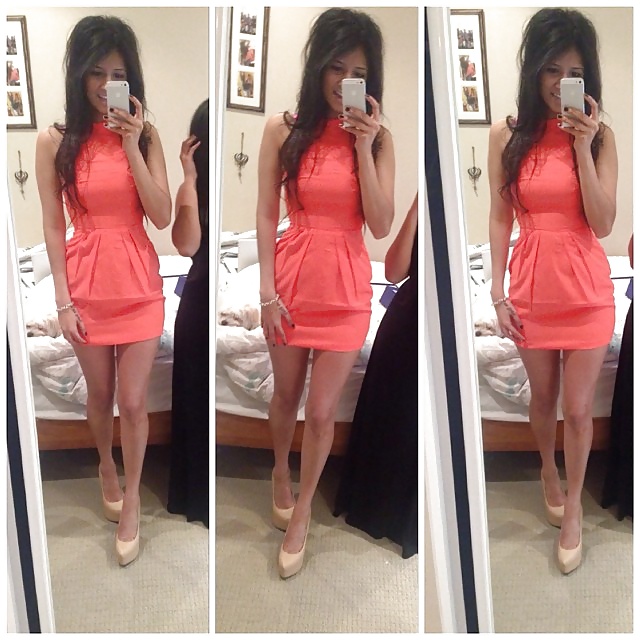 スリムなインディアン・シック
 #33113312