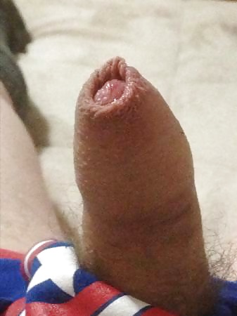 Uncut Dick #24899146