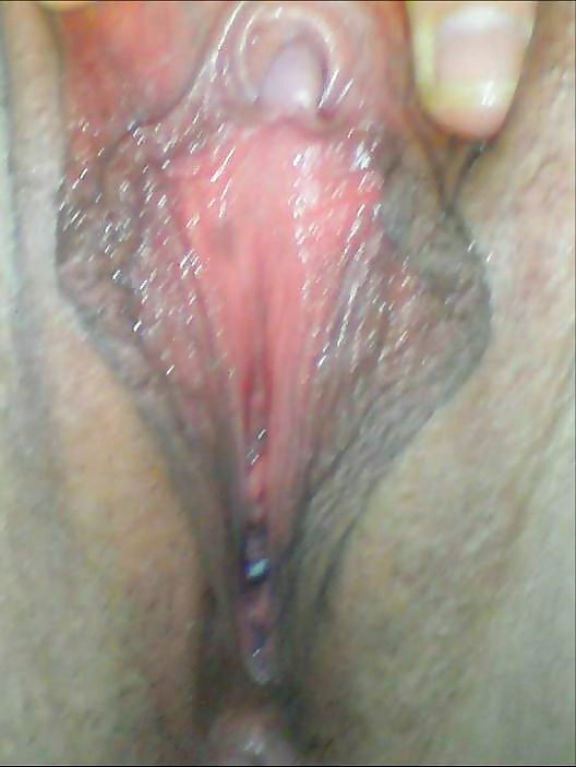Geile sau #34831120